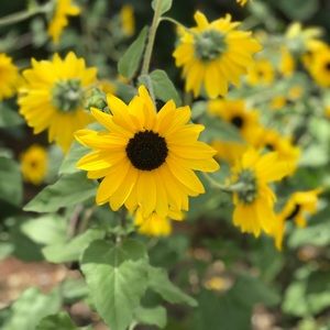 Meet your Posher, Connor